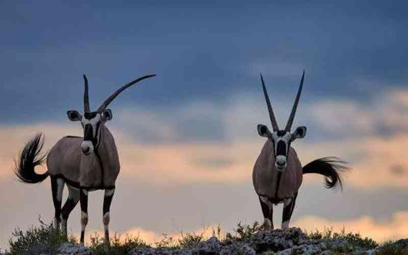 Malka Mari National Park
