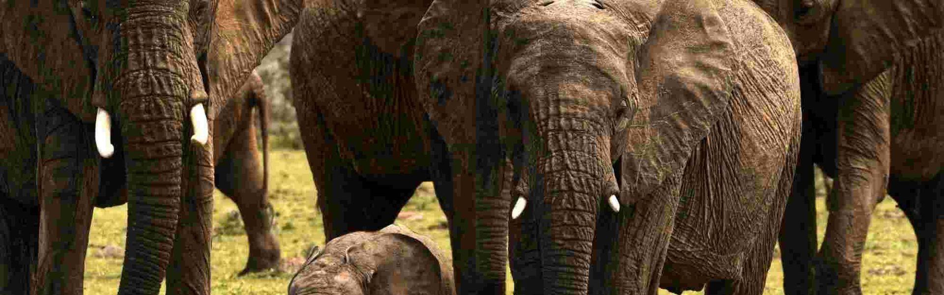 Rimoi National Reserve