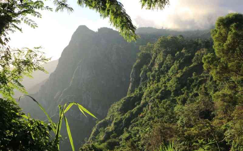Nilo Nature Reserve