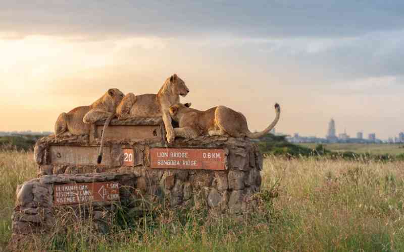 Nairobi National Park