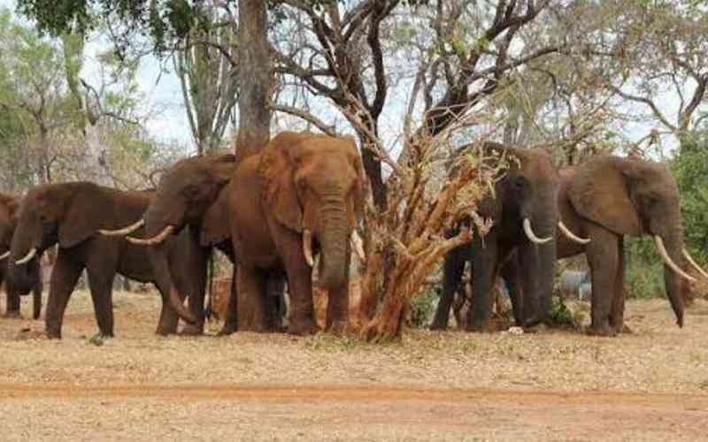 Ukutu Wildlife Mnagement Area