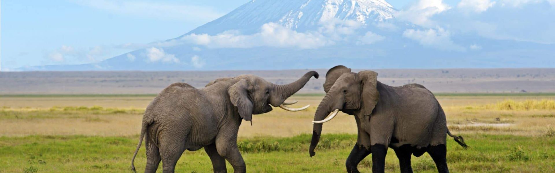 Amboseli National Park