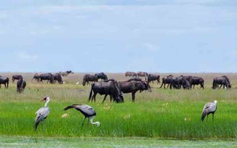 Liparamba Game Reserve