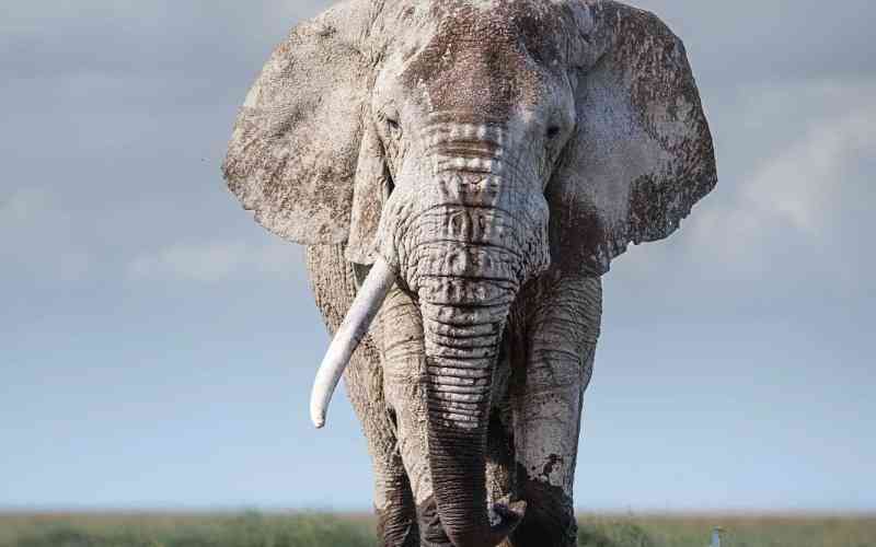 Amboseli National Park