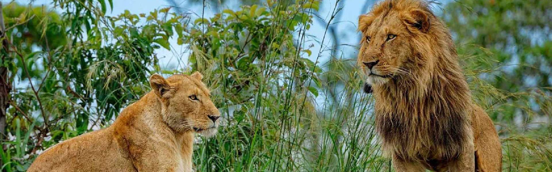 Kidepo Valley National Park