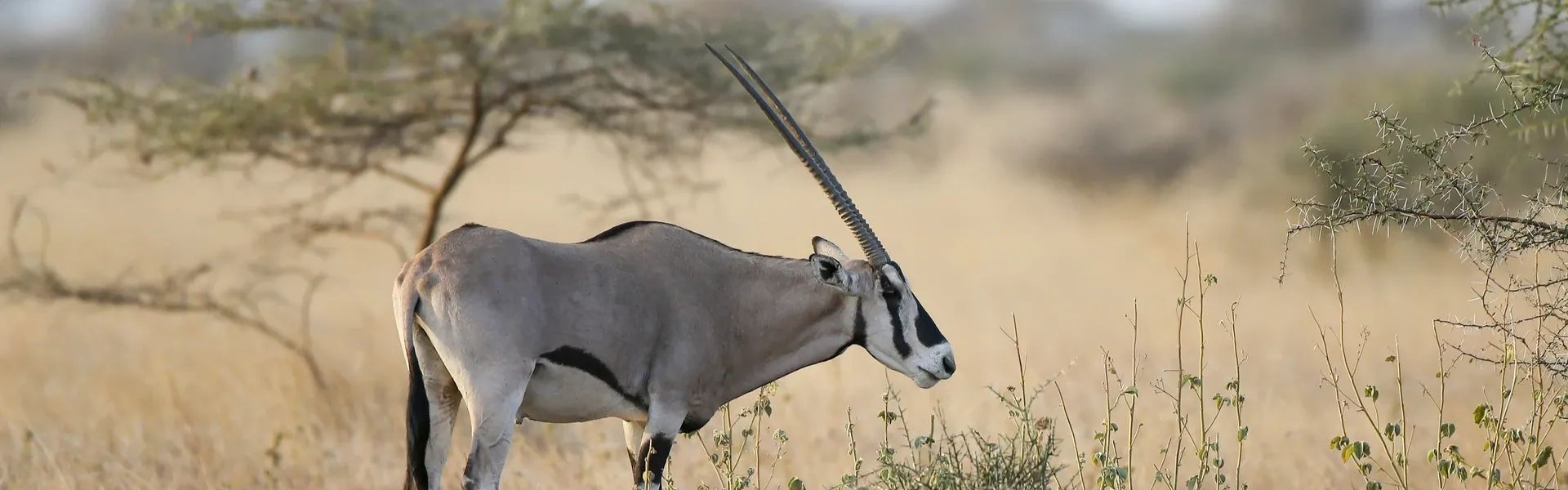 Ethiopia