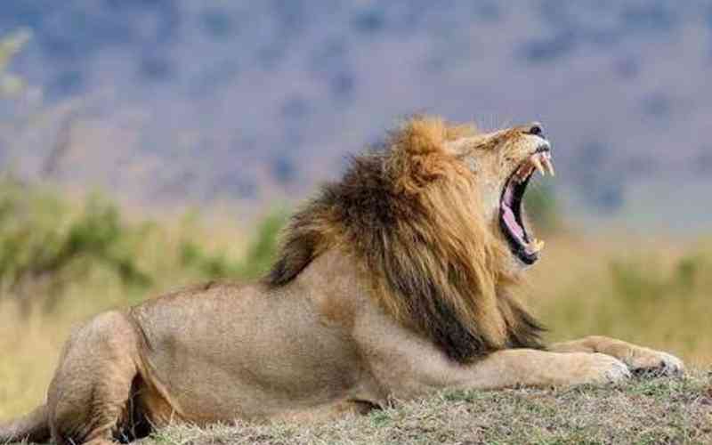 Lukwati Game Reserve