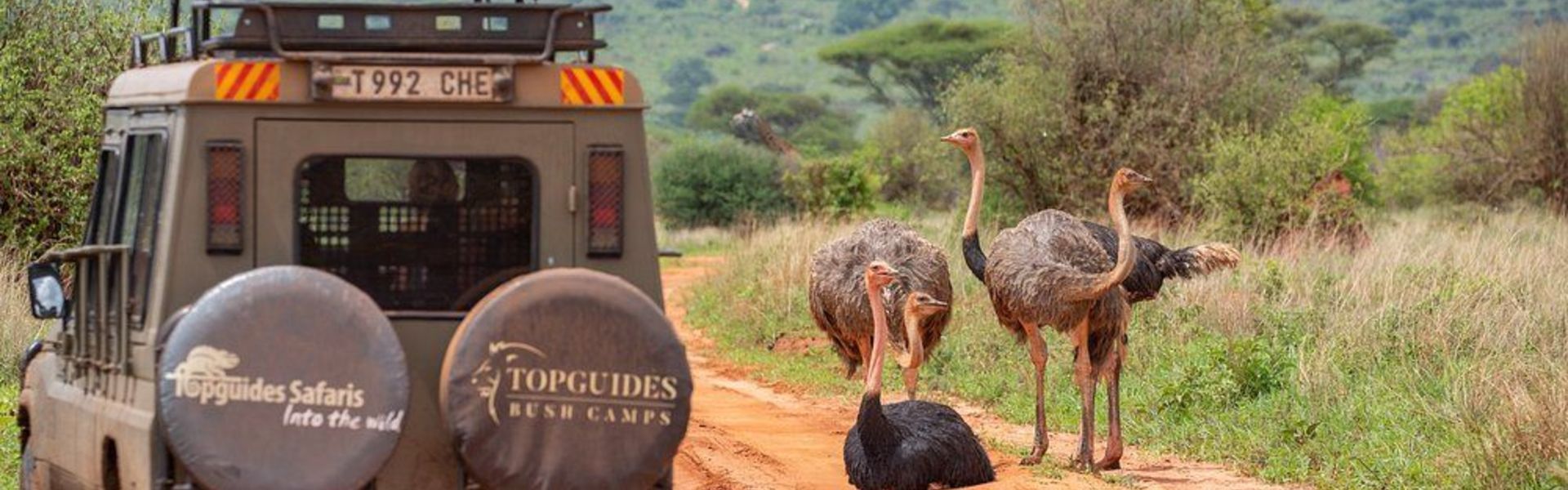 Lolkisale Game Controlled Area