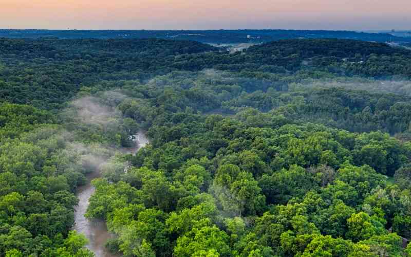 Witu Forest National Reserve