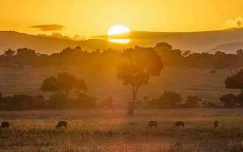 Arawale National Reserve