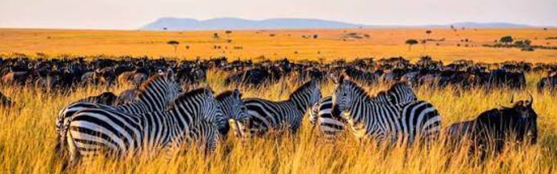 Mlele Game Controlled Area