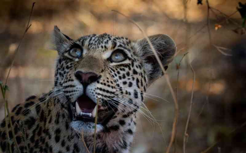Matobo National Park