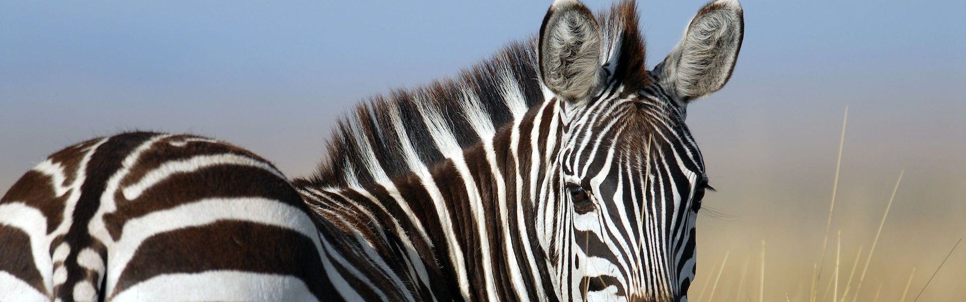 Kirejeshi Game Reserve