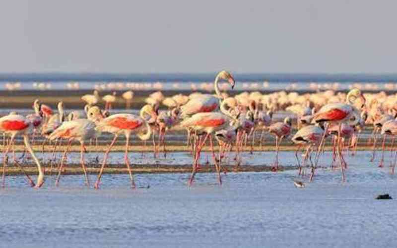 Lake Natron Game Controlled Area