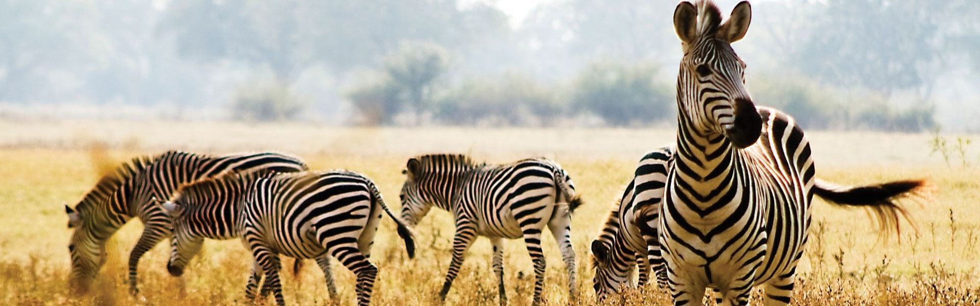Liuwa Plain National Park