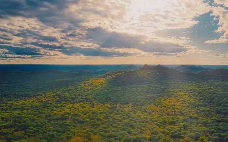 SwagaSwaga Game Reserve