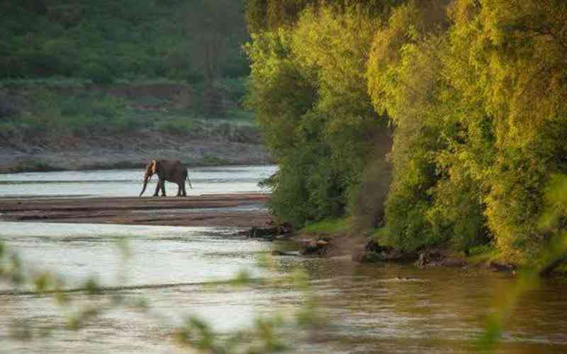 Tsavo West National Park