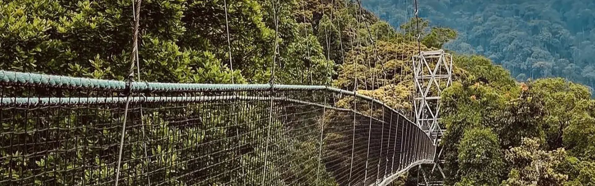 Nyungwe Forest National Park