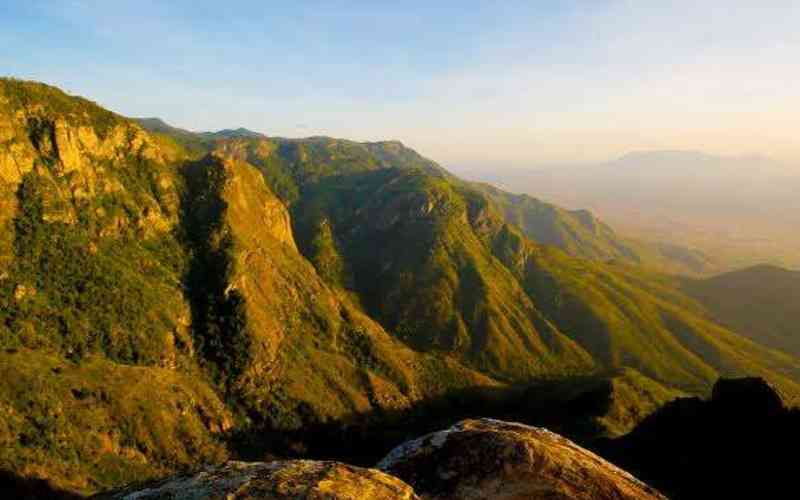 Magamba Nature Reserve