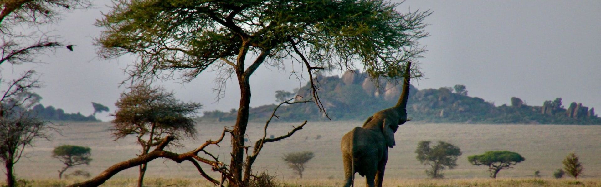 Dodori National Reserve