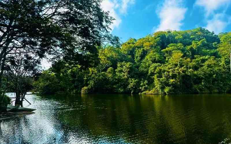 Pugu Hills Forest Reserve