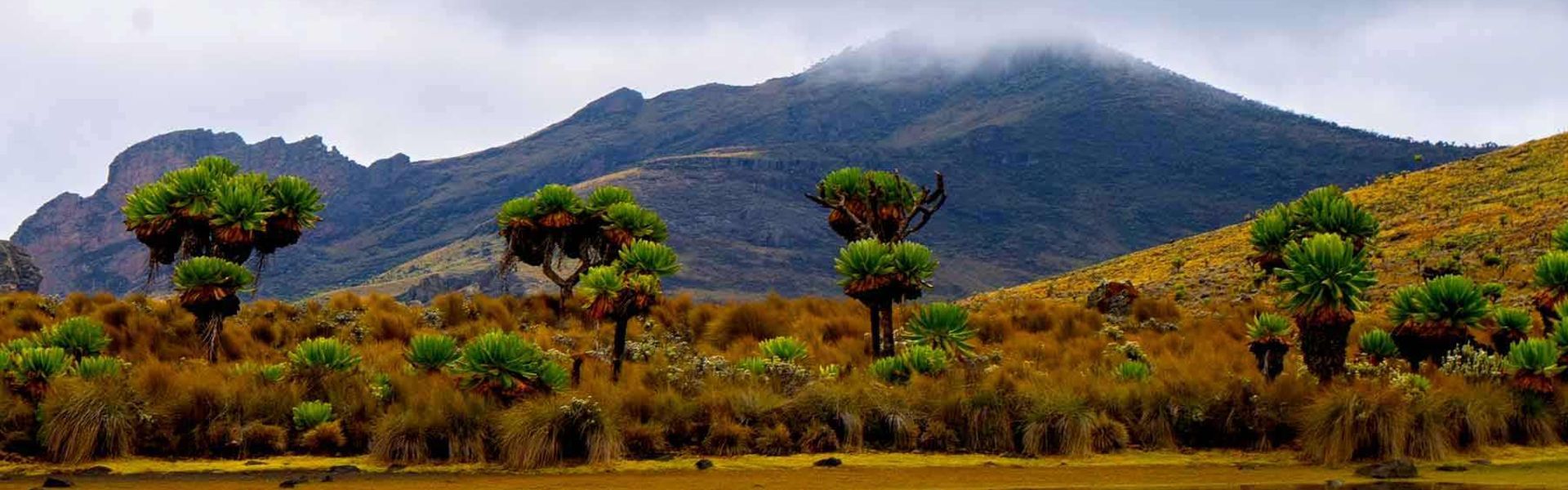 Mount Elgon National Park