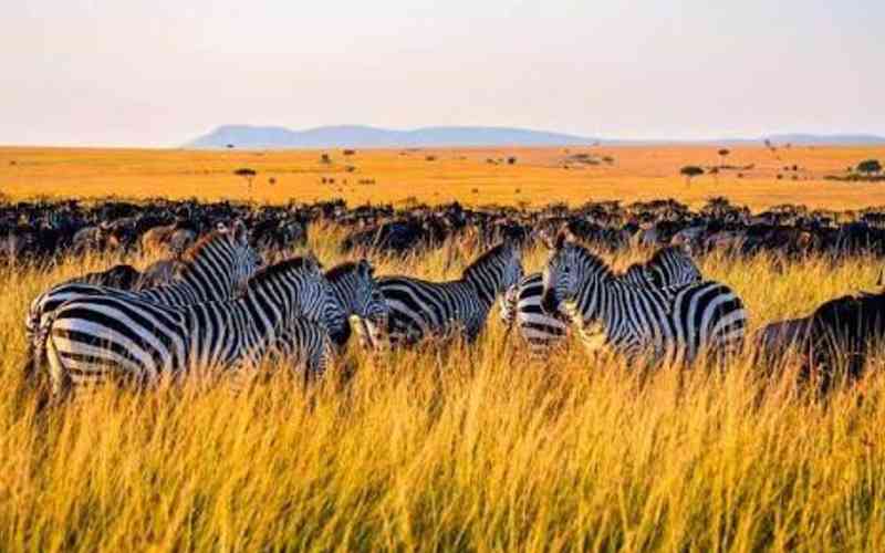 Mlele Game Controlled Area