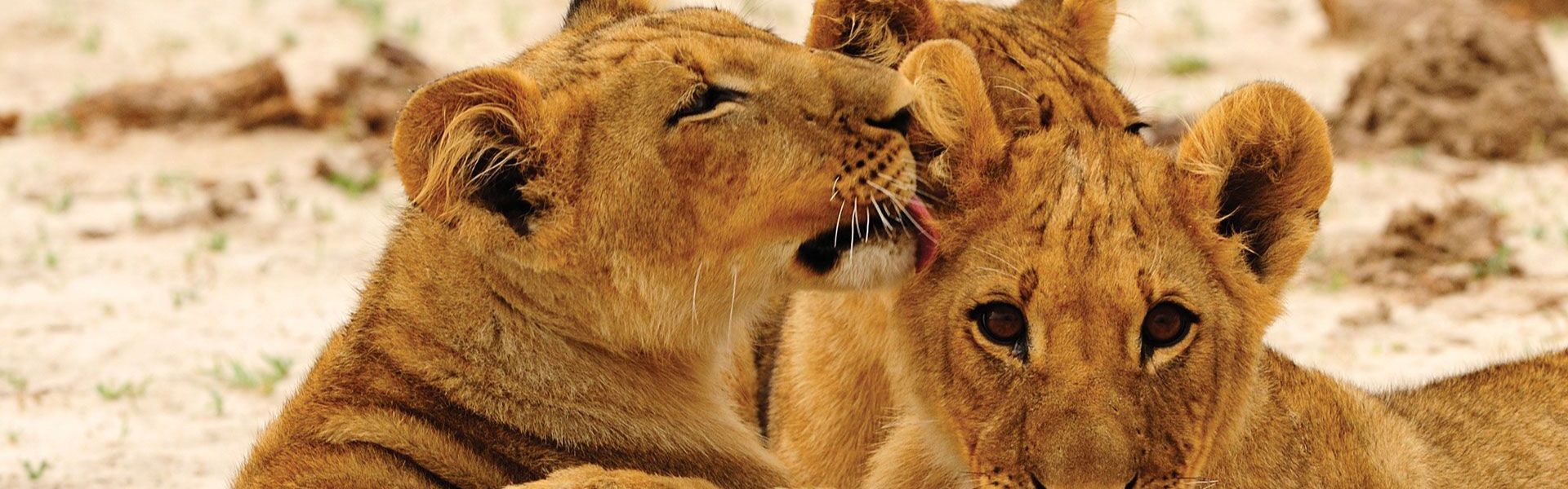 Hwange National Park