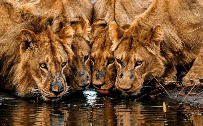 Hwange National Park
