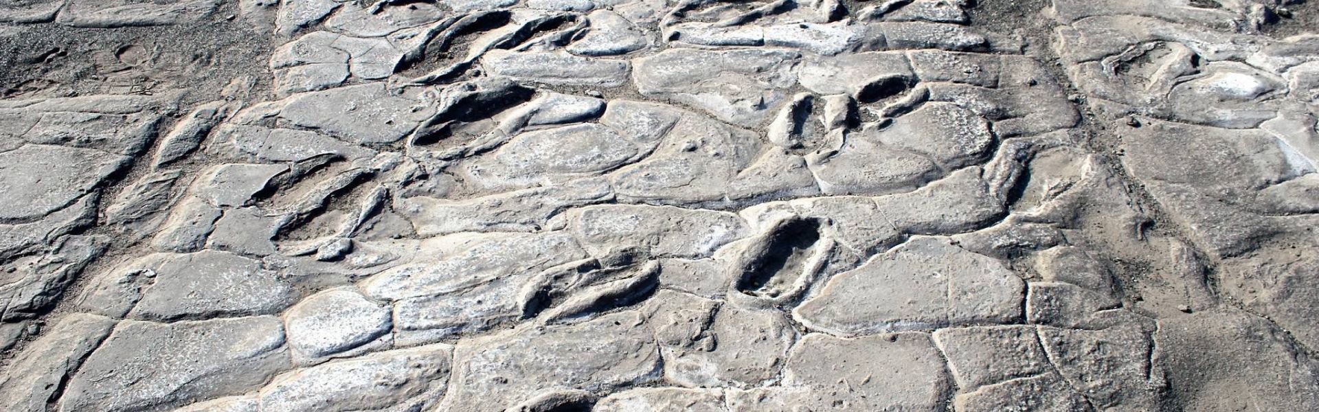 Laetoli Footprints