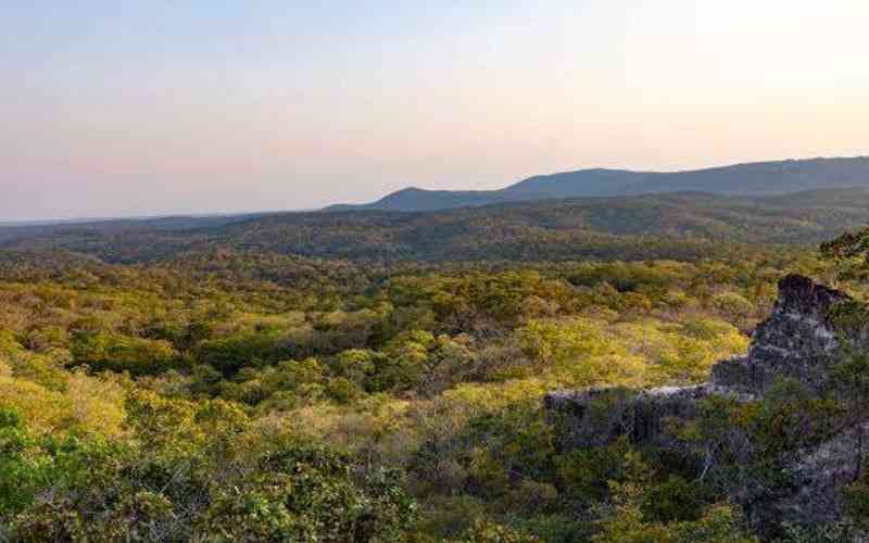 Mbomipa Wildlife Management Area