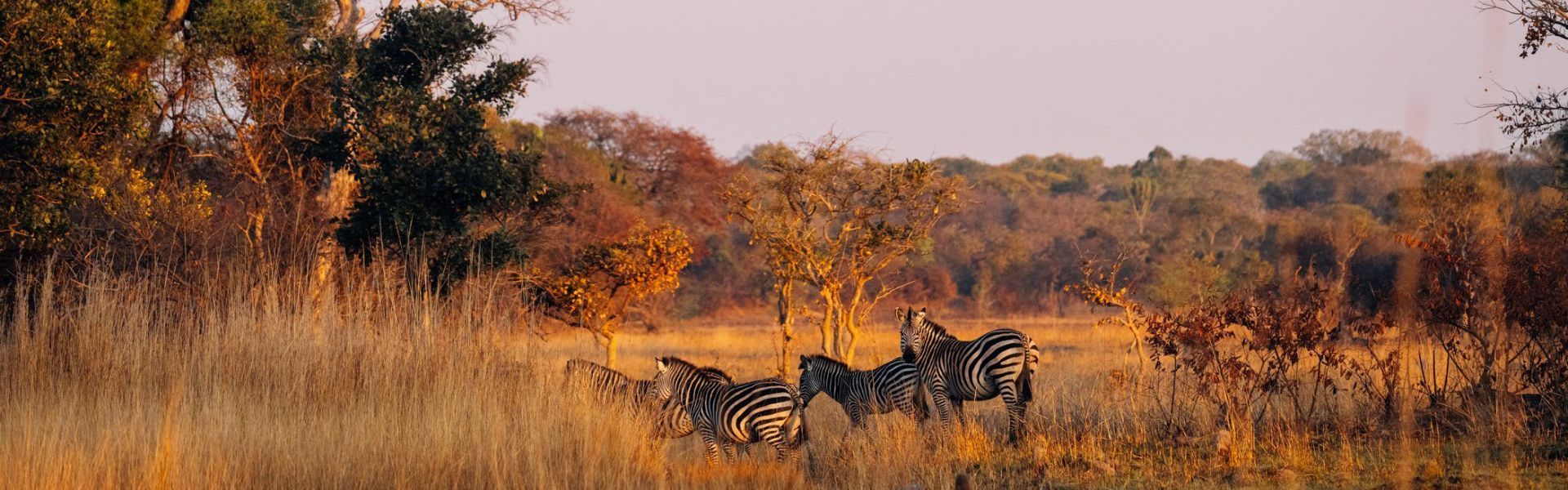 Lochinvar National Park