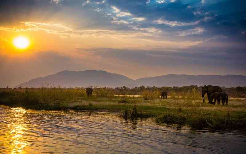 Zambezi National Park