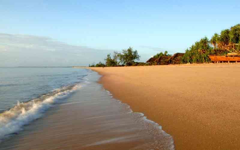 Saadani National Park
