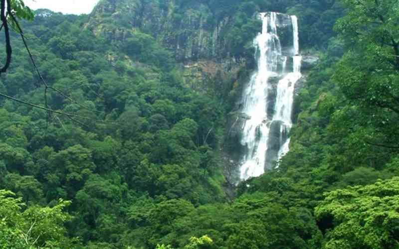 Kilombero Nature Forest Reserve