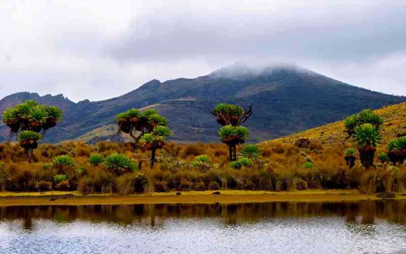 Mount Elgon National Park