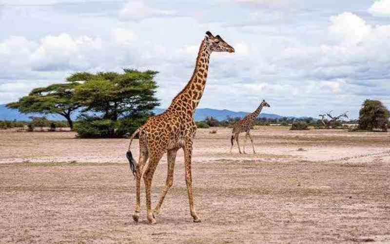 Waga Wildlife Mnagement Area