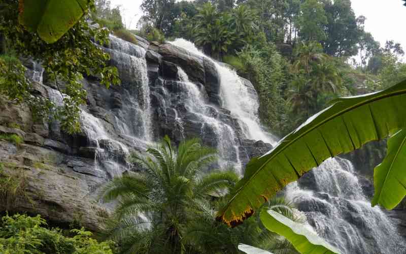 Rungwe Nature Reserve