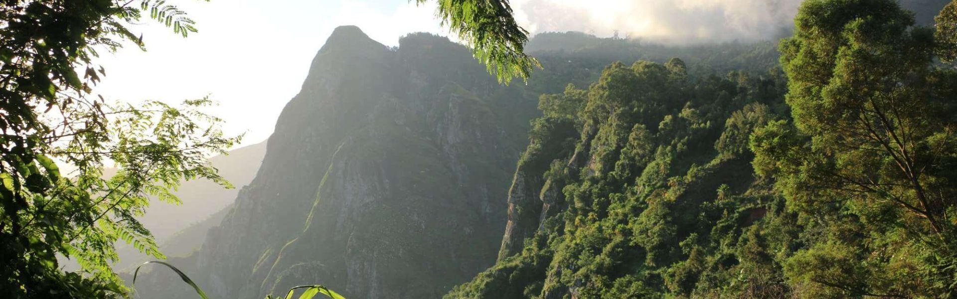 Nilo Nature Reserve