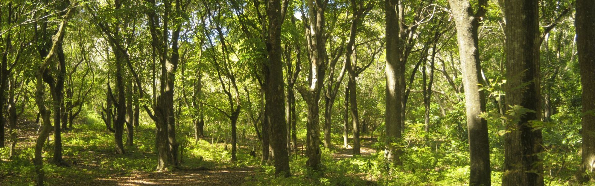 Mwambesi Game Controlled Area