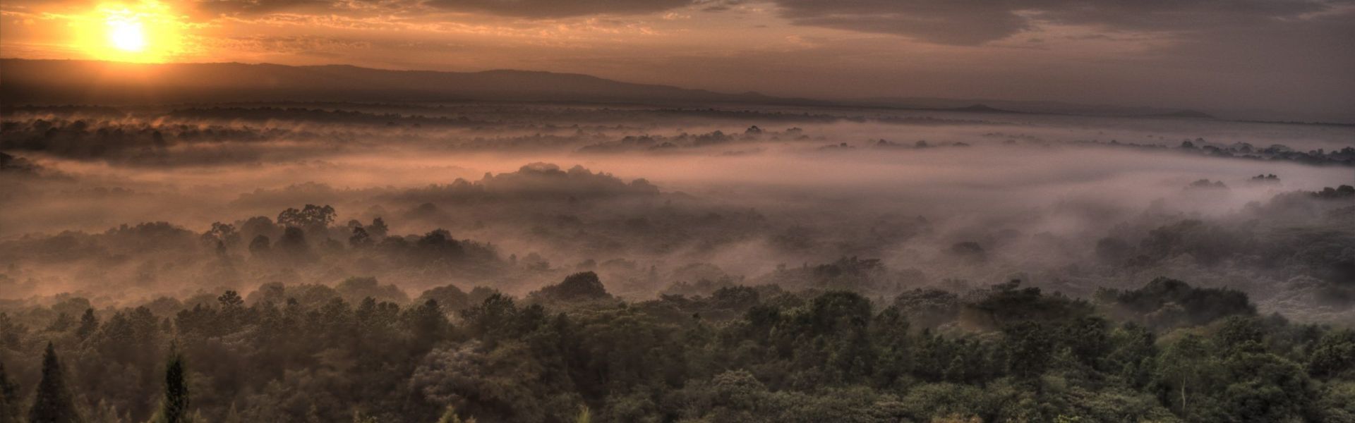 Kakamega Forest  Reserve