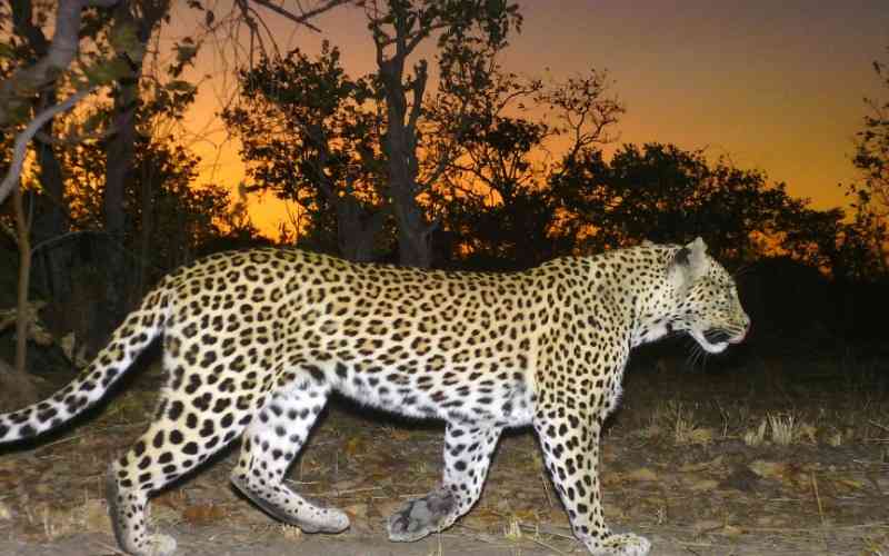 Kafue National Park