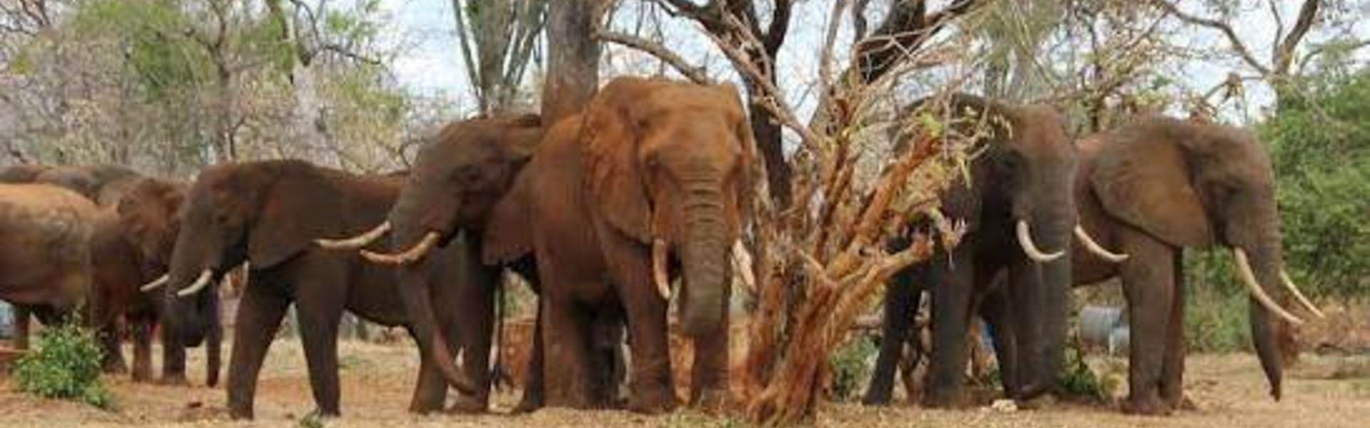 Ukutu Wildlife Mnagement Area