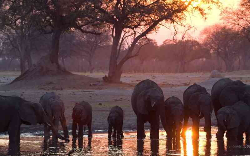 Zimbabwe