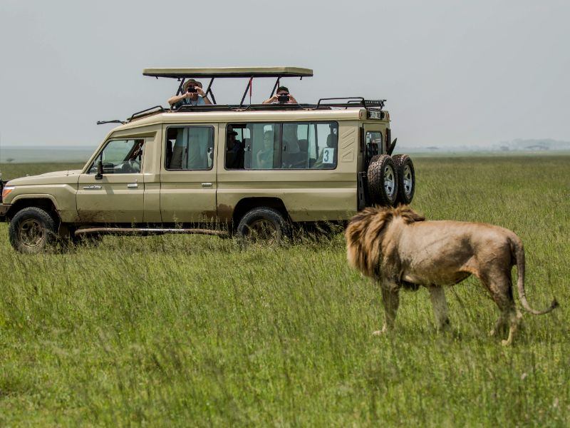 Quest Horizon Safaris Ltd
