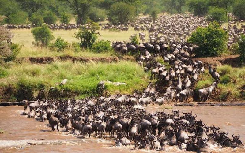 Tanzania