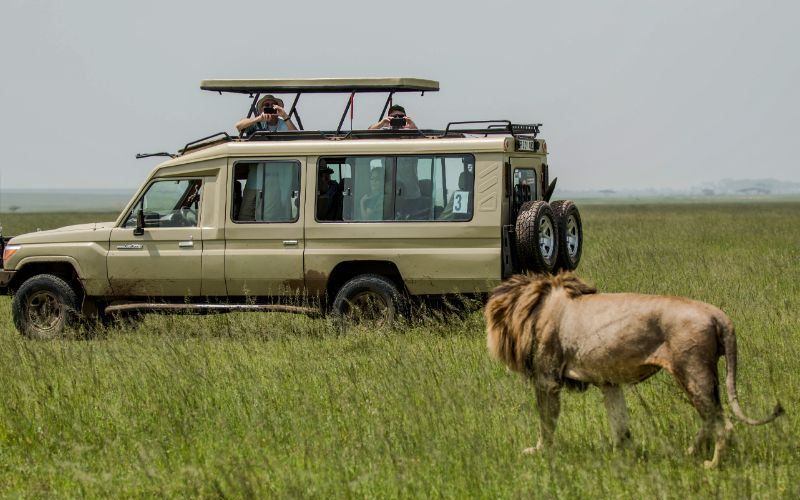 Tanzania