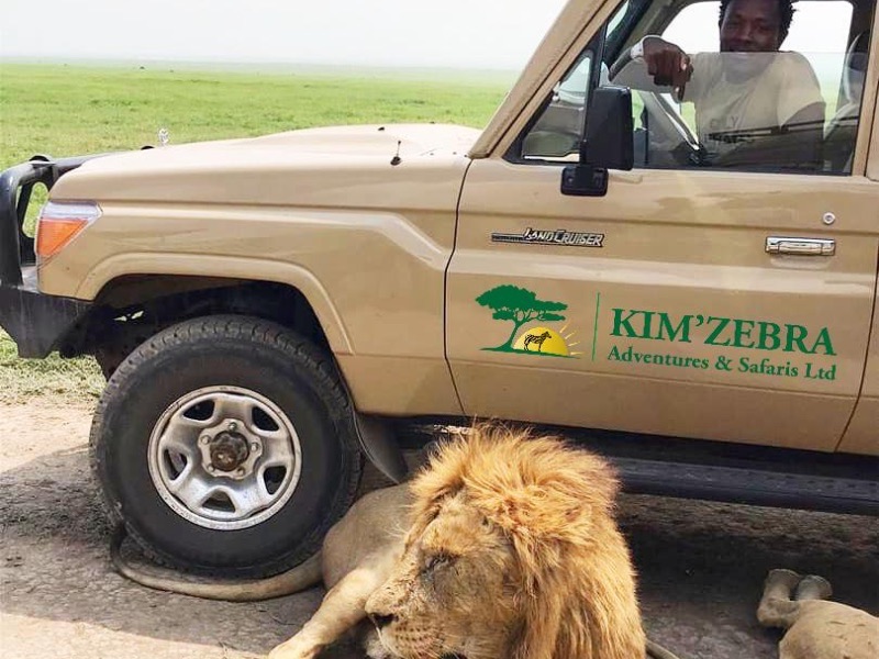 Kim’zebra Adventures and Safaris Limited