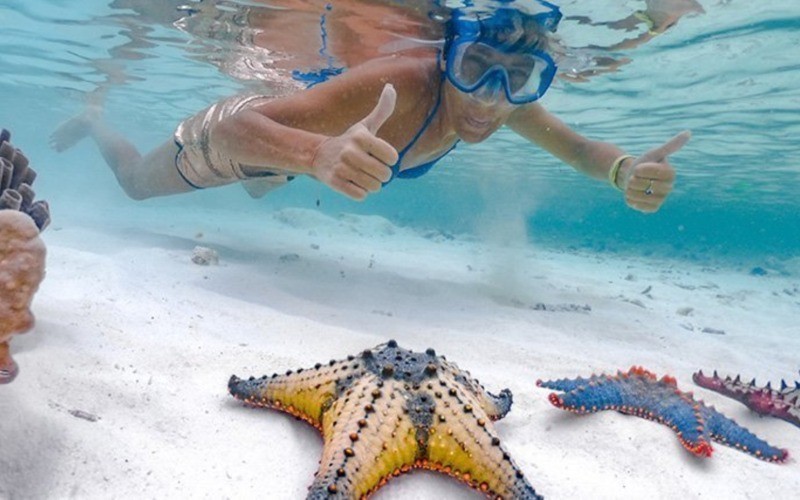 4-Day Zanzibar With Jozani Tour