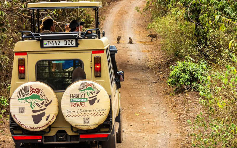 4-Day Tanzania Majestic Wildlife Experience
